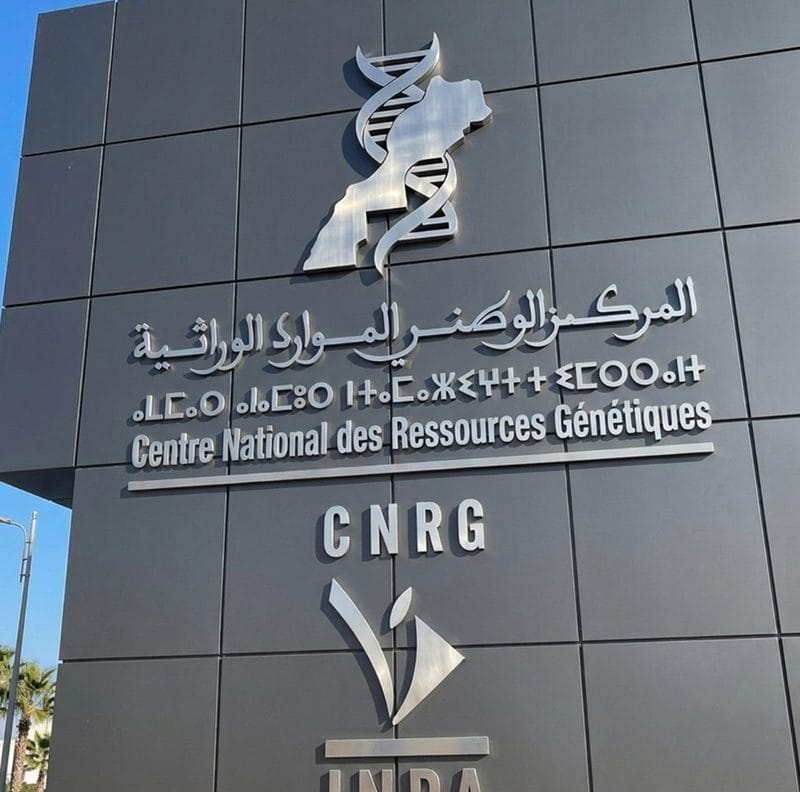 Logo 3D Inox CNRG façade - Lettrage relief acier inoxydable poli miroir au Maroc